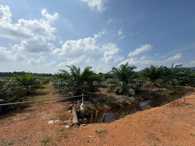 Tanah Pertanian untuk Dijual di Bestari Jaya (Selangor) - Yap Chew Ying - PropertyGuru.com.my