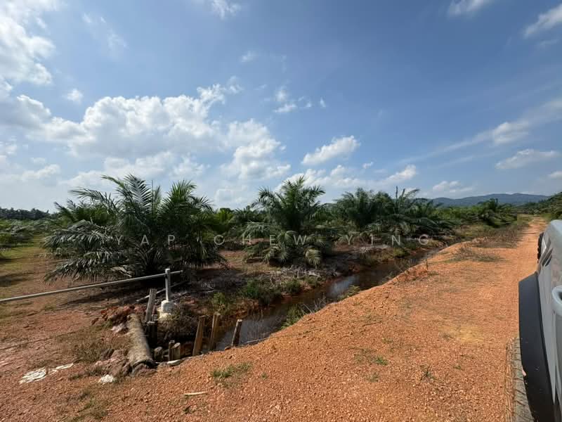 Tanah Pertanian untuk Dijual di Bestari Jaya (Selangor) - Yap Chew Ying - PropertyGuru.com.my
