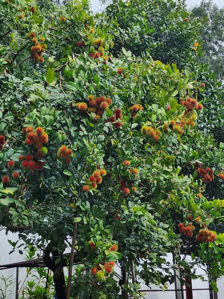 Kota Damansara untuk Untuk Dijual - RM 5,000,000, Mac 2026 - PropertyGuru.com.my