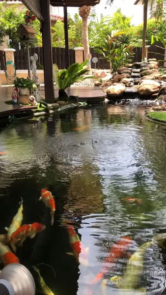 Semi-Detached House for Sale in Kemuning Utama Permai (Shah Alam) - Ballex Bb - Garden - PropertyGuru.com.my