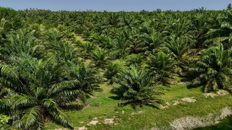 Kampung Jorak Elahi untuk Untuk Dijual - RM 4,014,488, Apr 2026 - Exterior - PropertyGuru.com.my