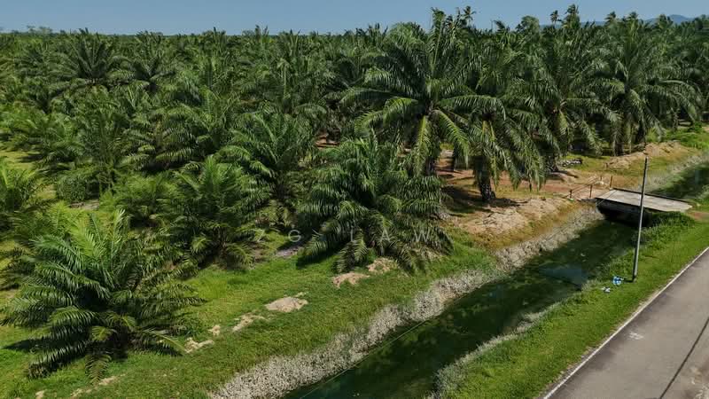 Kampung Jorak Elahi untuk Untuk Dijual - RM 4,014,488, Apr 2026 - Exterior - PropertyGuru.com.my