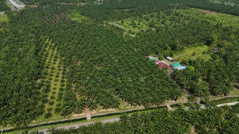 Kampung Jorak Elahi untuk Untuk Dijual - RM 4,014,488, Apr 2026 - Exterior - PropertyGuru.com.my