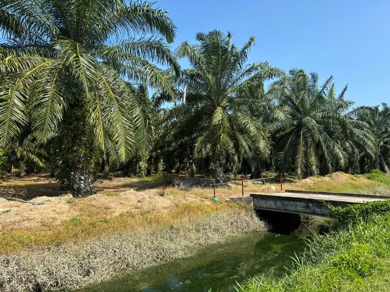 Kampung Jorak Elahi untuk Untuk Dijual - RM 4,014,488, Apr 2026 - Exterior - PropertyGuru.com.my