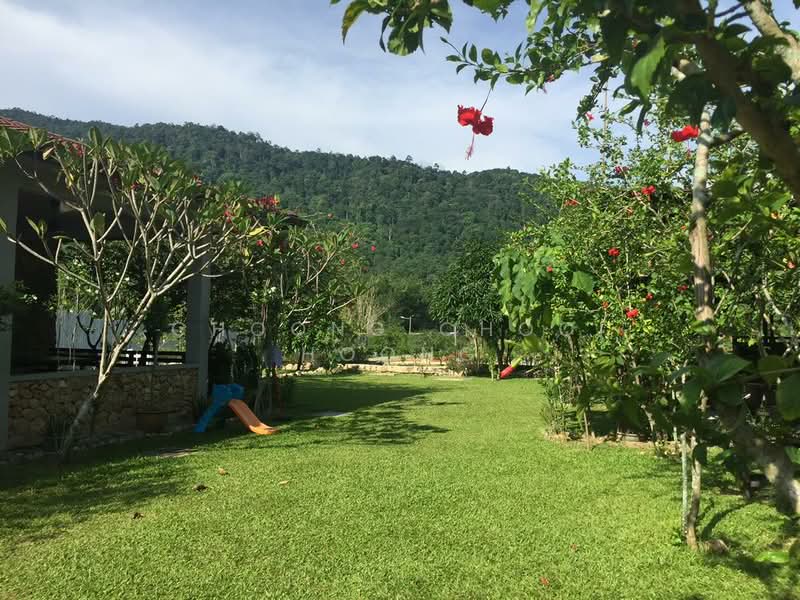 Agricultural Land for Sale in Broga (Lenggeng) - Choong Chooi Hoong - Garden - PropertyGuru.com.my