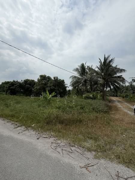 Residential Land for Sale in Kampung Telok Gong (Kuala Sungai Baru) - Charlotte Tee - Exterior - PropertyGuru.com.my