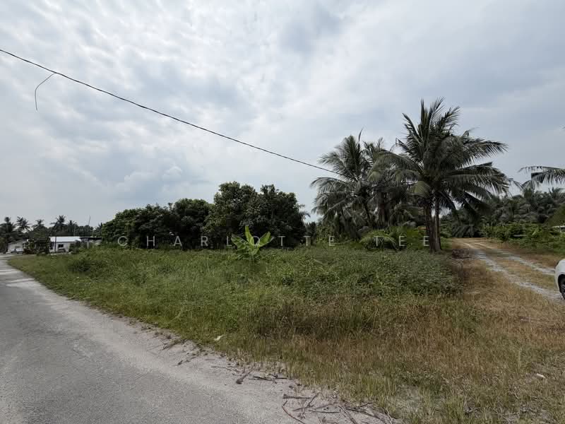 Residential Land for Sale in Kampung Telok Gong (Kuala Sungai Baru) - Charlotte Tee - Exterior - PropertyGuru.com.my