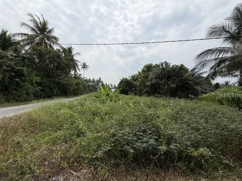 Residential Land for Sale in Kampung Telok Gong (Kuala Sungai Baru) - Charlotte Tee - Exterior - PropertyGuru.com.my