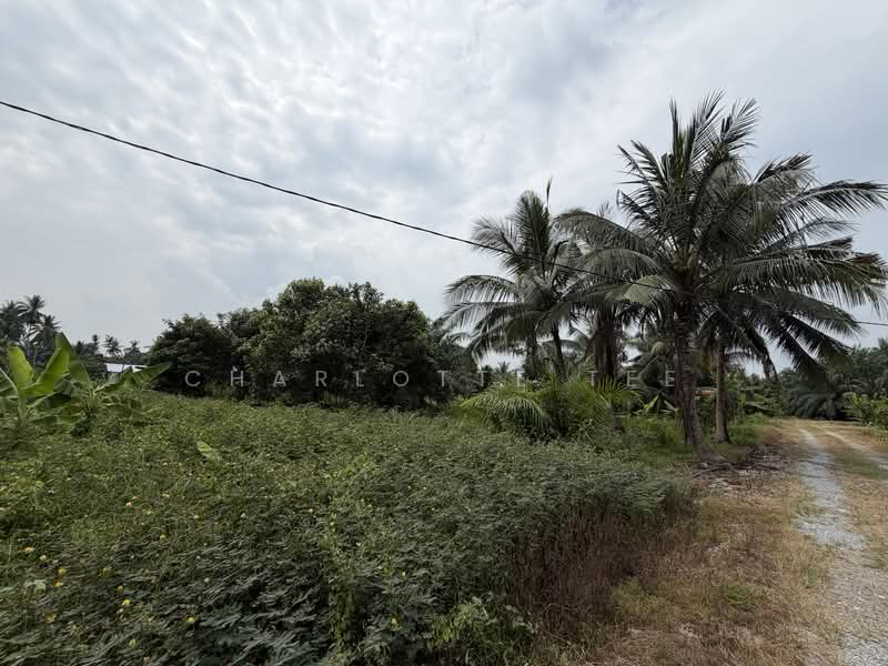Residential Land for Sale in Kampung Telok Gong (Kuala Sungai Baru) - Charlotte Tee - Exterior - PropertyGuru.com.my