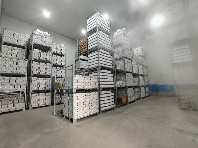 Semi-D Factory for Sale in Taman Perindustrian Kapar Bestari (Kapar) - Jess Tay - Interior - PropertyGuru.com.my