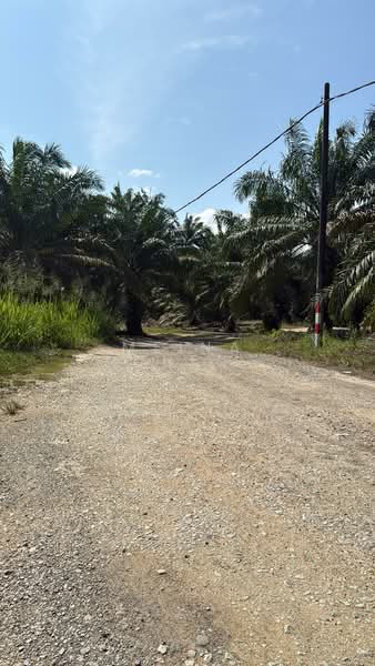 Oil palm for sale kulai sengkang untuk Untuk Dijual - RM 3,920,400, Mac 2026 - PropertyGuru.com.my