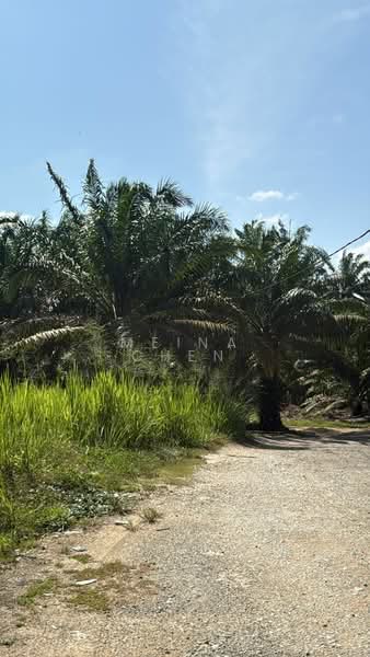 Oil palm for sale kulai sengkang untuk Untuk Dijual - RM 3,920,400, Mac 2026 - PropertyGuru.com.my