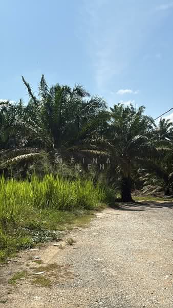 Oil palm for sale kulai sengkang untuk Untuk Dijual - RM 3,920,400, Mac 2026 - PropertyGuru.com.my