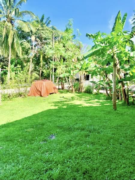 Rumah Teres 1 Tingkat untuk Dijual di Taman Pasir Putih (Pasir Gudang) - Reeyna Sam - Garden - PropertyGuru.com.my