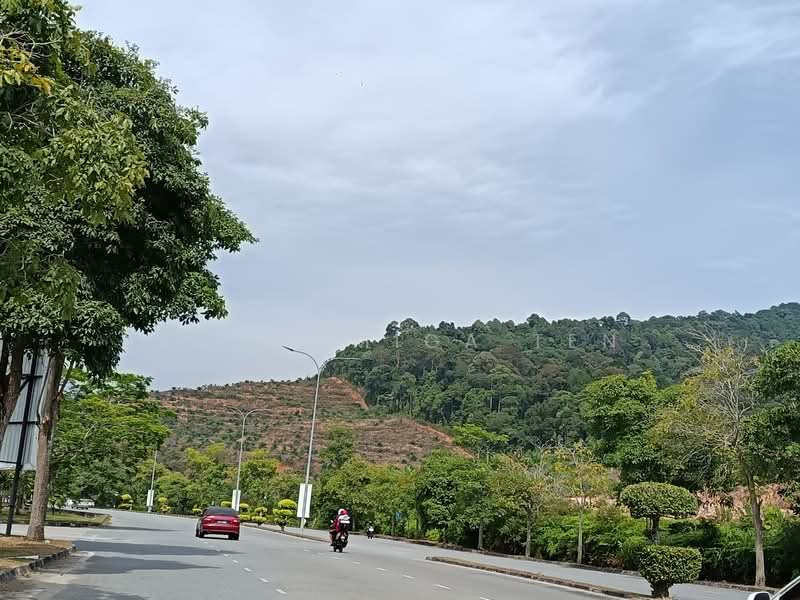 For Sale - 82 Acre Palm Oil Land At Kluang,Johor