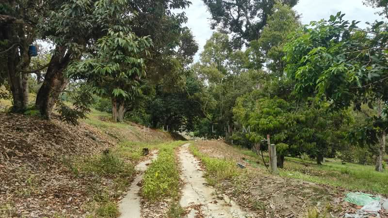 For Sale - Machang Bubok