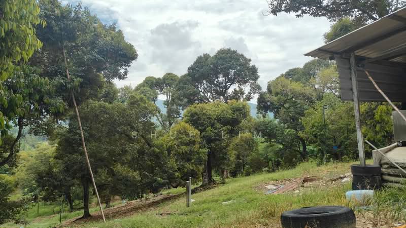 For Sale - Machang Bubok