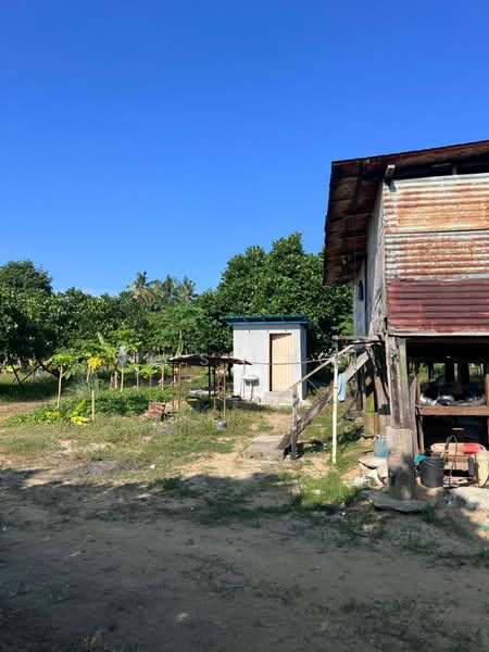 6.7-Acre Fruits Orchards Farm In Kota Tinggi Johor For Sales untuk Untuk Dijual - RM 2,000,000, Mac 2026 - PropertyGuru.com.my