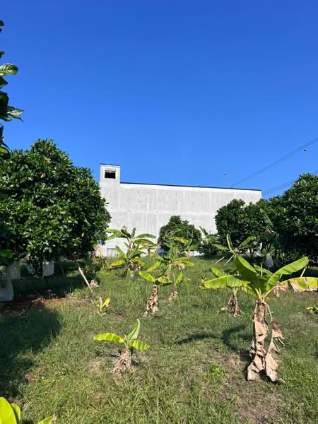 6.7-Acre Fruits Orchards Farm In Kota Tinggi Johor For Sales untuk Untuk Dijual - RM 2,000,000, Mac 2026 - PropertyGuru.com.my