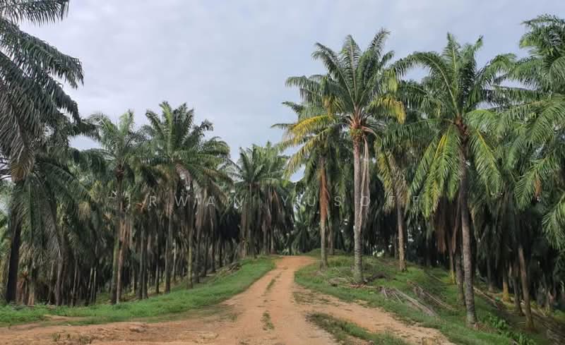 Agricultural Land for Sale in Karak (Pahang) - Irwan Yusoff - Exterior - PropertyGuru.com.my