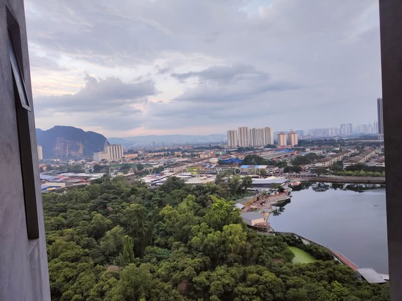 View from the Kitchen