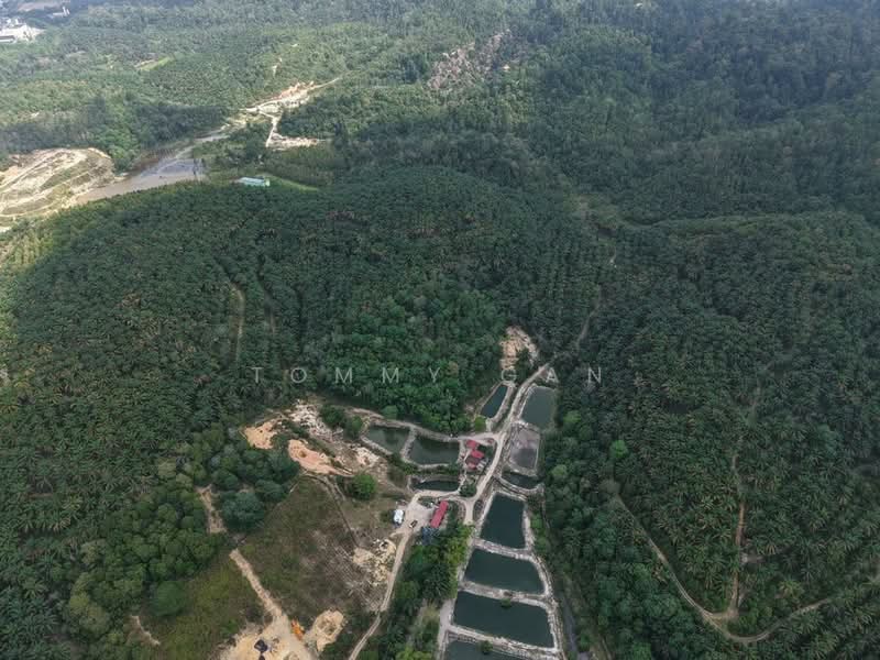 Kedah Kulim 25 Acre Freehold Residential Development Land For Sale untuk Untuk Dijual - RM 19,500,000, Apr 2026 - Exterior - PropertyGuru.com.my