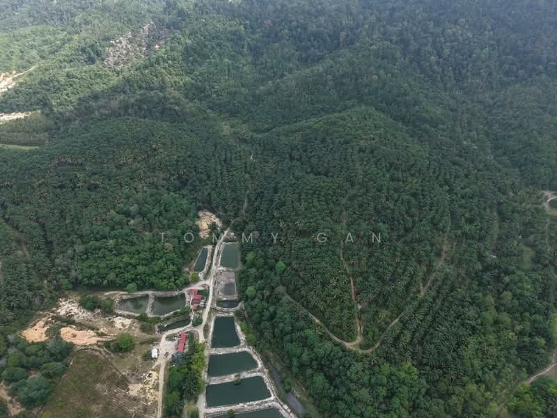 Kedah Kulim 25 Acre Freehold Residential Development Land For Sale untuk Untuk Dijual - RM 19,500,000, Apr 2026 - Exterior - PropertyGuru.com.my