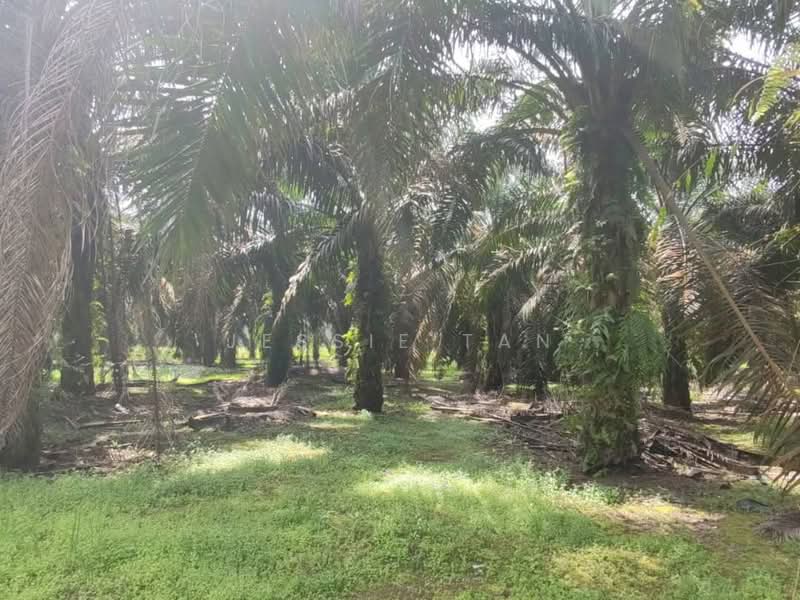 Kulai untuk Untuk Dijual - RM 1,260,000, Mac 2026 - Garden - PropertyGuru.com.my