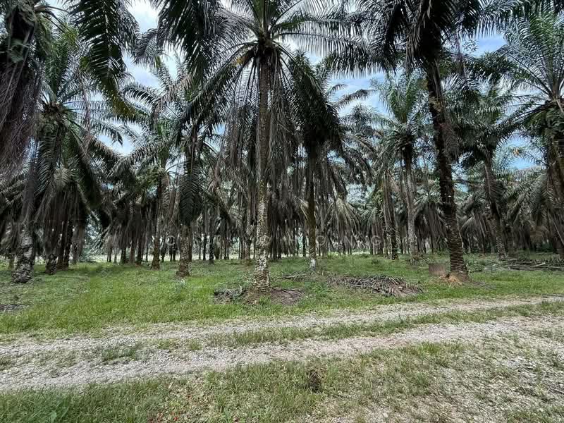 Kota Tinggi untuk Untuk Dijual - RM 190,000, Mac 2026 - Exterior - PropertyGuru.com.my