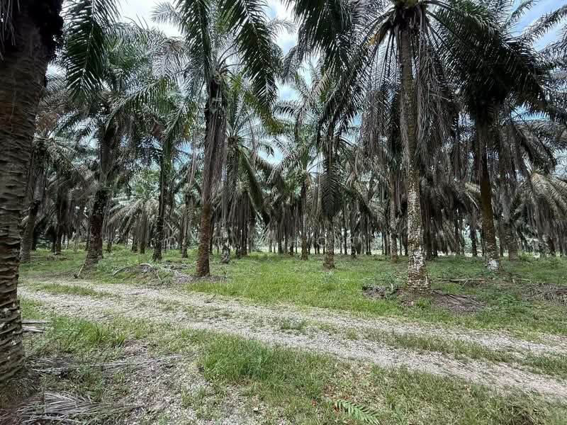 Kota Tinggi untuk Untuk Dijual - RM 190,000, Mac 2026 - Exterior - PropertyGuru.com.my