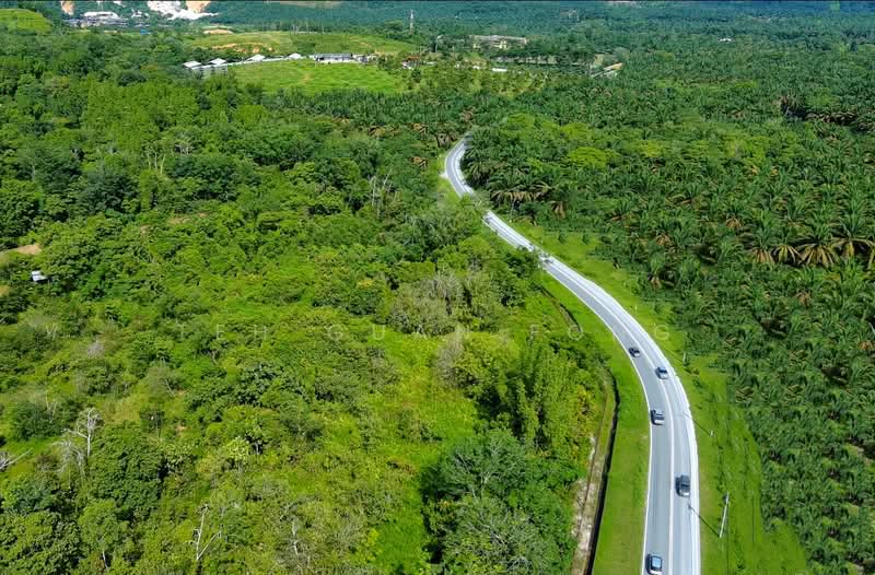 Tanah Pertanian untuk Disewa di Junjong (Kedah) - Teh Guan Fong - Exterior - PropertyGuru.com.my