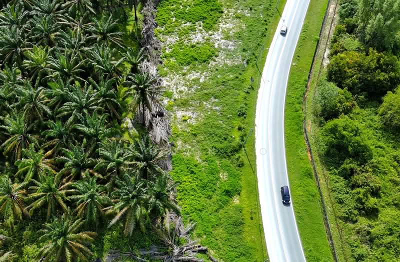 Tanah Pertanian untuk Disewa di Junjong (Kedah) - Teh Guan Fong - Exterior - PropertyGuru.com.my