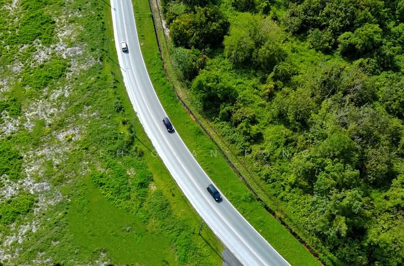 Agricultural Land for Rent in Junjong (Kedah) - Teh Guan Fong - PropertyGuru.com.my