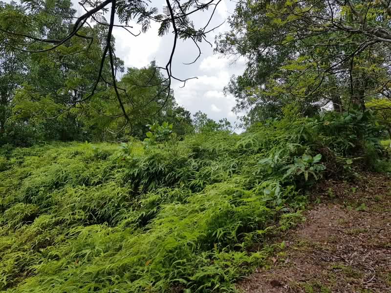 Residential Land for Sale in Ledang Heights (Iskandar Puteri (Nusajaya)) - SK GOO - Garden - PropertyGuru.com.my