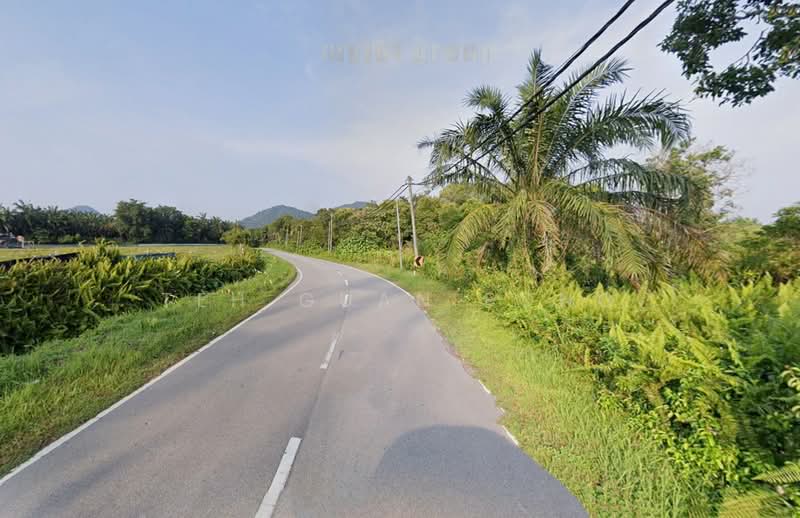 Residential Land for Sale in Kerian (Perak) - Teh Guan Fong - Exterior - PropertyGuru.com.my