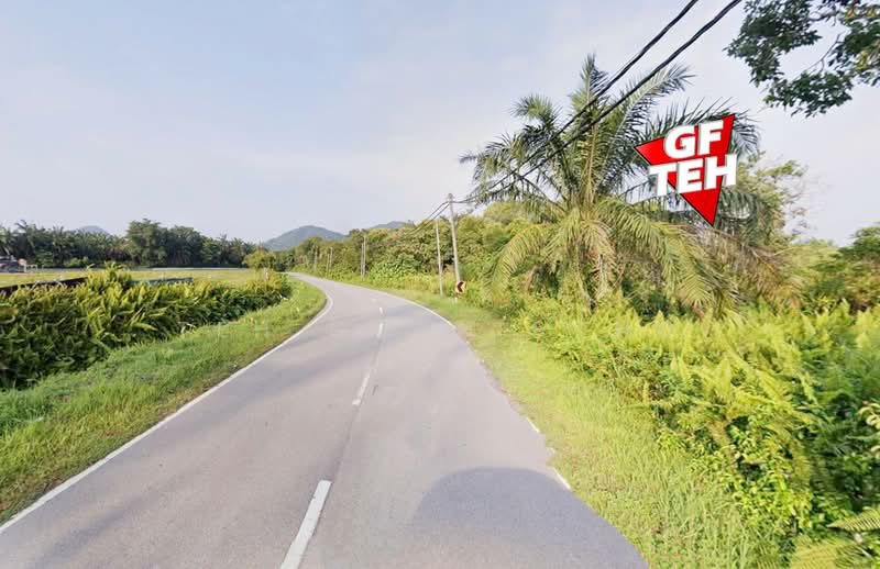 Residential Land for Sale in Kerian (Perak) - Teh Guan Fong - Exterior - PropertyGuru.com.my