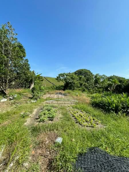 Tanah Perindustrian untuk Dijual di Kajang (Selangor) - Connie Tong - Garden - PropertyGuru.com.my