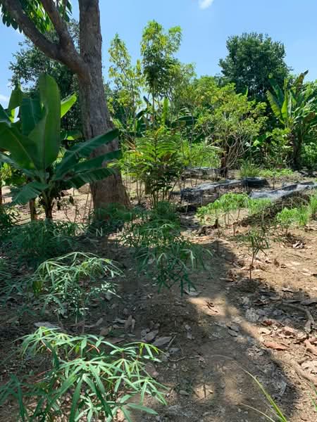 Tanah Perindustrian untuk Dijual di Kajang (Selangor) - Connie Tong - Garden - PropertyGuru.com.my