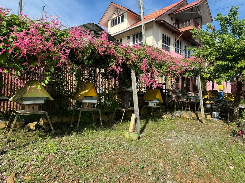 Agricultural Land for Sale in Lahad Datu (Sabah) - Liew F.A. - Property  - PropertyGuru.com.my