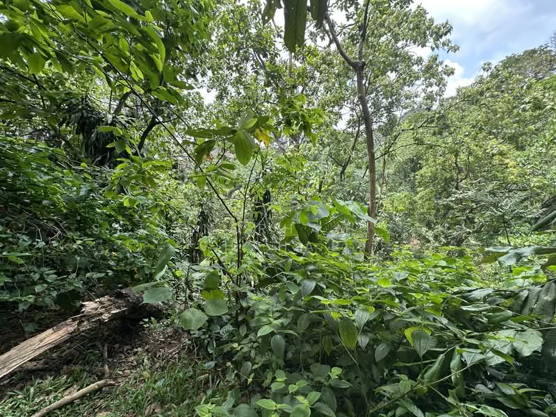 Ukay Heights untuk Untuk Dijual - RM 1,047,000, Mac 2026 - Exterior - PropertyGuru.com.my