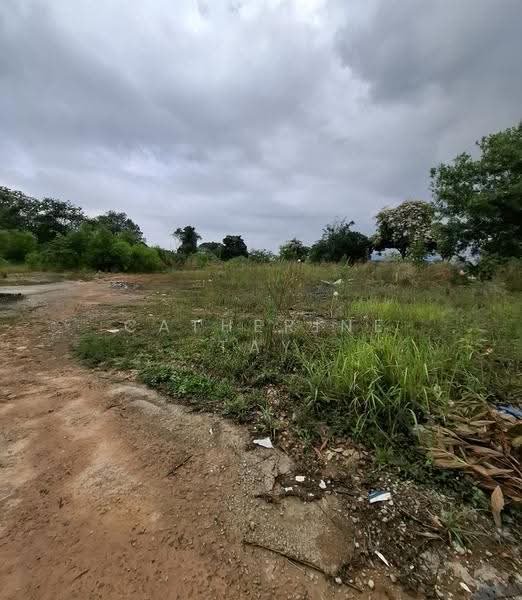 Industrial Land for Rent in Pasir Gudang (Johor) - Catherine Tay - PropertyGuru.com.my