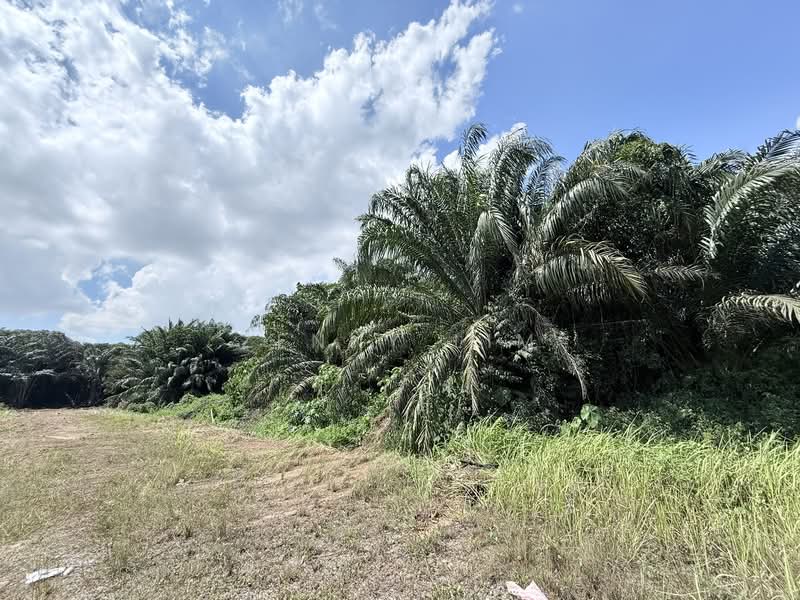 RM3.5m, 2.1 Acres, Near Tropicana Aman! Sijangkang Agricultural Land for Sale untuk Untuk Dijual - RM 3,500,000, Apr 2026 - Exterior - PropertyGuru.com.my