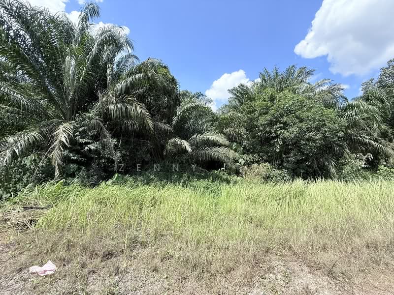 RM3.5m, 2.1 Acres, Near Tropicana Aman! Sijangkang Agricultural Land for Sale untuk Untuk Dijual - RM 3,500,000, Apr 2026 - Exterior - PropertyGuru.com.my