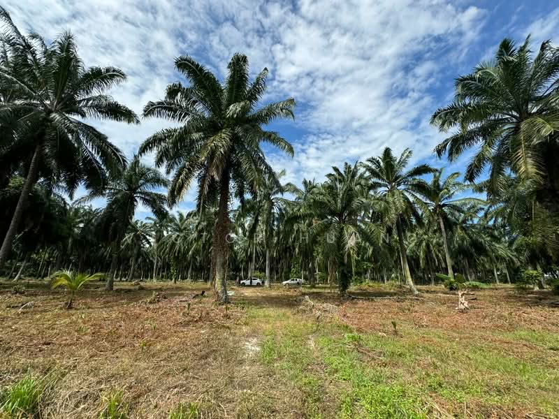 Internal view of the land