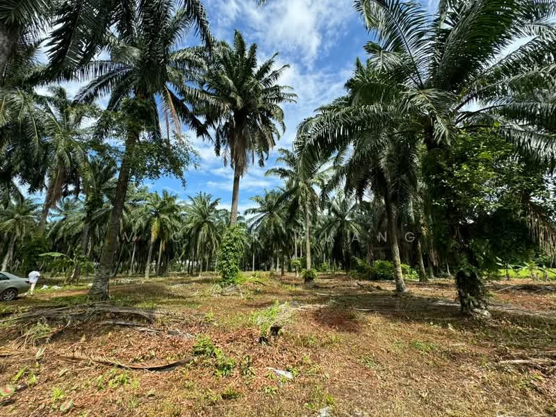 Internal view of the land