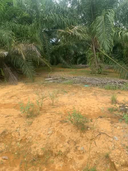Kuala Kangsar Agriculture Land untuk Untuk Dijual - RM 7,020,000, Apr 2026 - Exterior - PropertyGuru.com.my