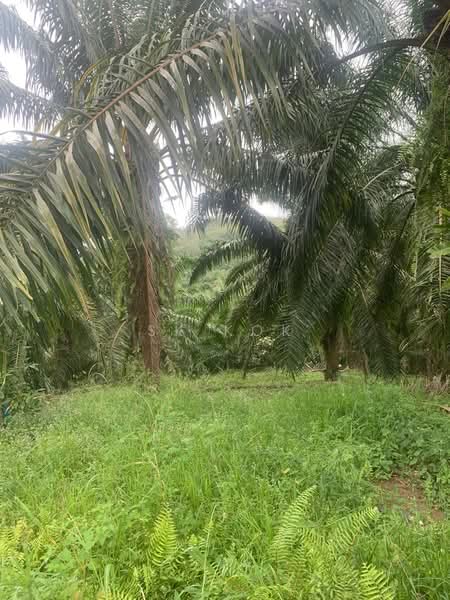 Kuala Kangsar Agriculture Land untuk Untuk Dijual - RM 7,020,000, Apr 2026 - Exterior - PropertyGuru.com.my