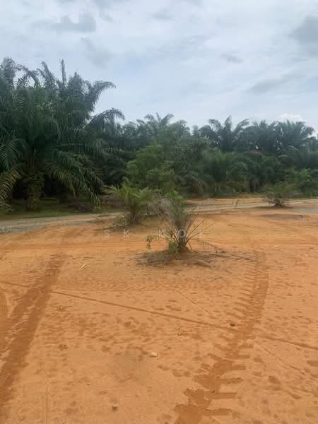 Kuala Kangsar Agriculture Land untuk Untuk Dijual - RM 7,020,000, Apr 2026 - Exterior - PropertyGuru.com.my