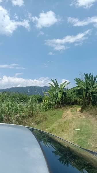 Agricultural Land for Sale in Rawang (Selangor) - Eugene Yap - PropertyGuru.com.my