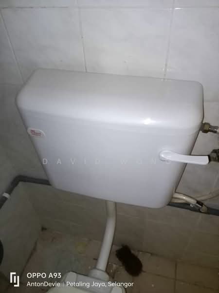 Untuk Disewa - SD Apartments II